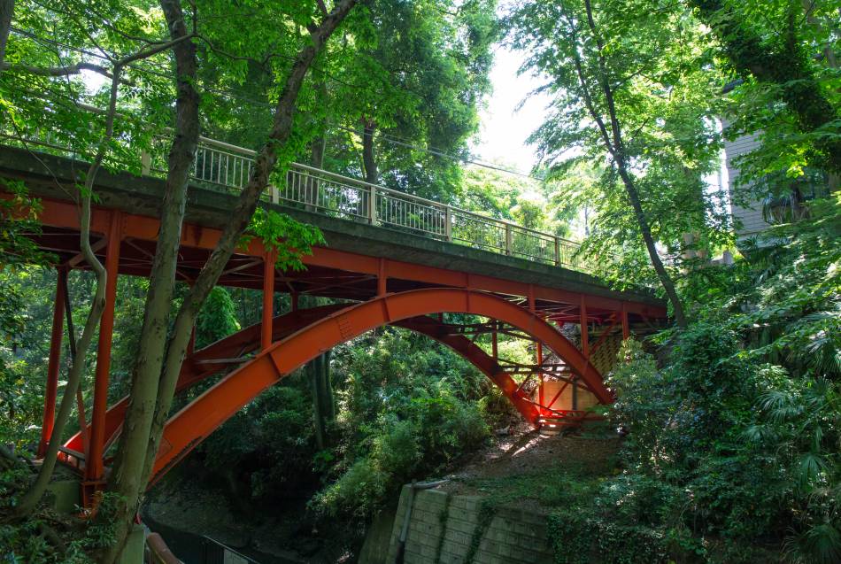 Golf Bridge